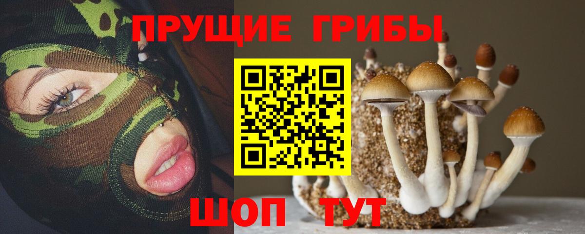 Кстово  Галлюциногенные грибы Psilocybine cubensis  Галлюциногенные грибы MAGIC MUSHROOMS  Вход с VPN 